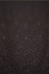 a13